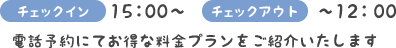 チェックイン15：00～　チェックアウト～12：00　電話予約にてお得な料金プランをご紹介いたします