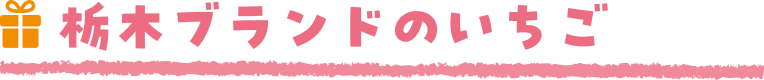 栃木ブランドのいちご